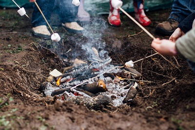 toasting marshmallows over embers