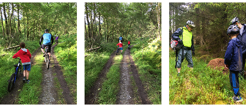 3 small pictures of cyclists on grassy cycle tracks