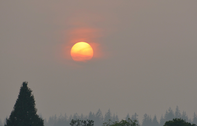 big orange sun low in the sky