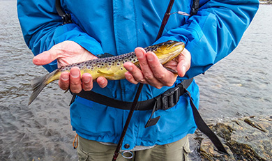man holding a small brown trout