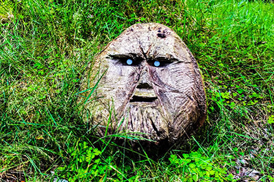 wood carving of a face set in the grass